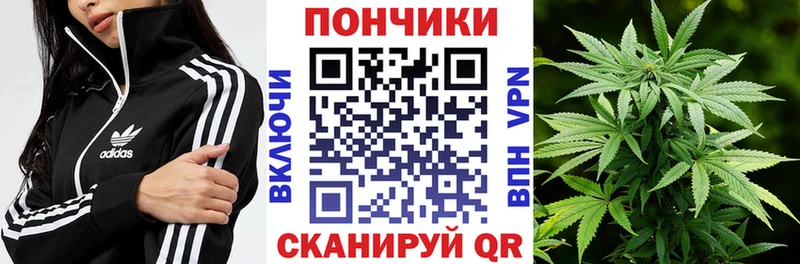 где купить наркоту  Будённовск  МАРИХУАНА THC 21% 